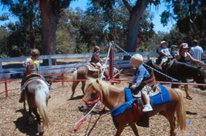 pony-rides-for-kids-southern-fair